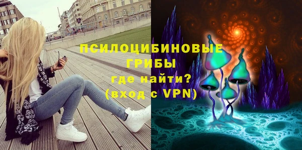 крисы Снежинск