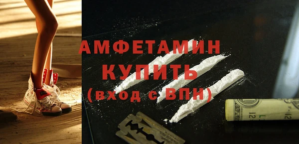 прущие грибы Семикаракорск